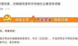 东莞爆料最新消息新闻,聚焦城市动态与热点事件