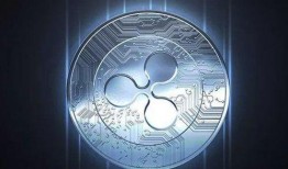 瑞波币最新爆料消息,揭秘其未来发展趋势与潜在风险