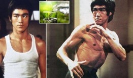 最新李小龙爆料